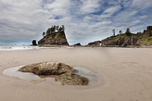 098 Olympic NP.jpg